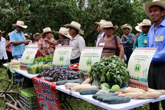 Paz con Dignidad, Ecos El Salvador y ACUA con el apoyo de la Cooperación Española impulsan el fortalecimiento de cooperativas rurales a través de proyecto de seguridad alimentaria y resiliencia climática