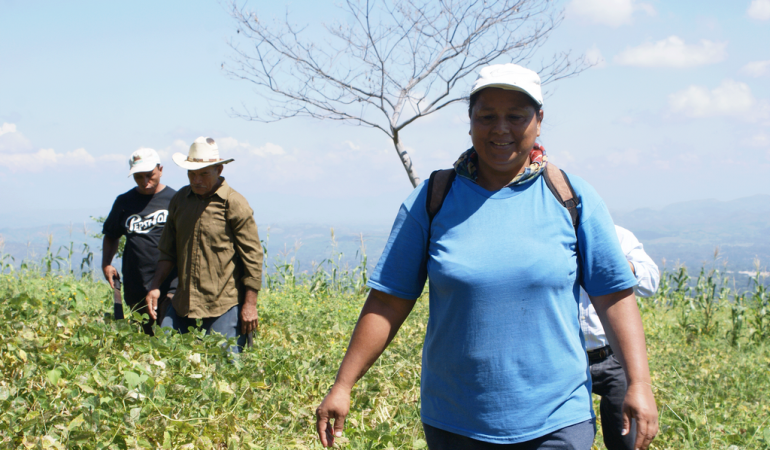 Más de 2.400 familias salvadoreñas han mejorado su seguridad alimentaria y nutricional