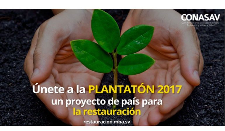 La PLANTATÓN 2017 es el primer proyecto de interés nacional que surge en el CONASAV
