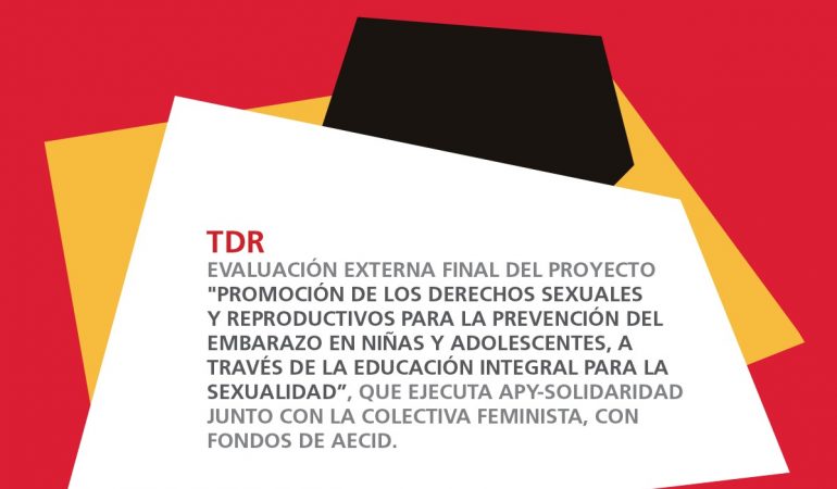 Términos de referencia para la contratación de la evaluación externa del proyecto Educación Integral para la Sexualidad (APY – CFDL)