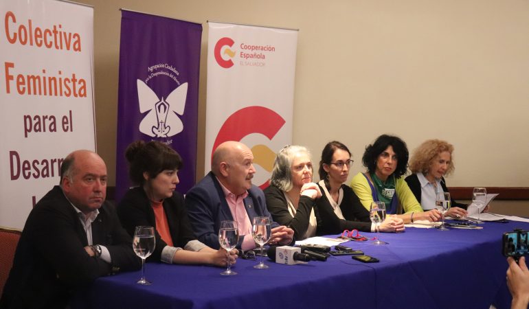 Parlamentarios vascos: «Estamos aquí para compartir experiencia sobre la situación de los derechos sexuales y reproductivos.»