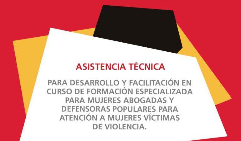TDR: Asistencia técnica para desarrollo y facilitación en curso de formación especializada para mujeres abogadas y defensoras populares para atención a mujeres víctimas de violencia