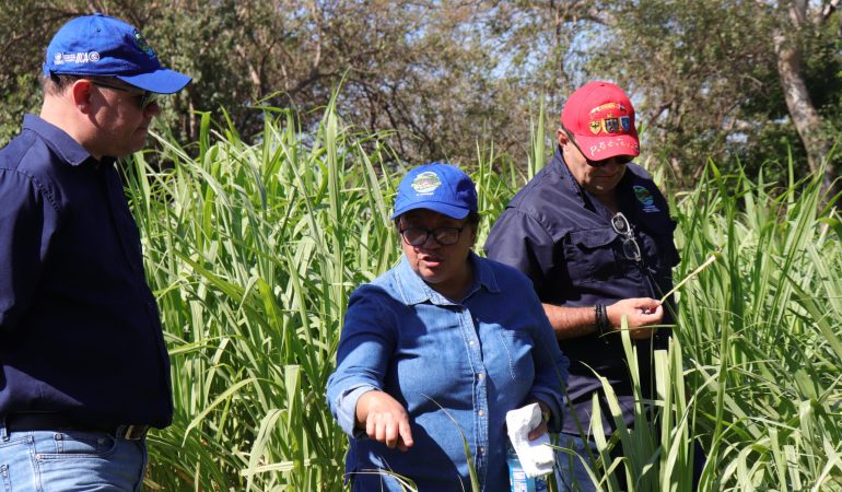 La Acción “Construcción de la NAMA en Ganadería Bovina de El Salvador” es una iniciativa para lograr la adaptación y mitigación al cambio climático