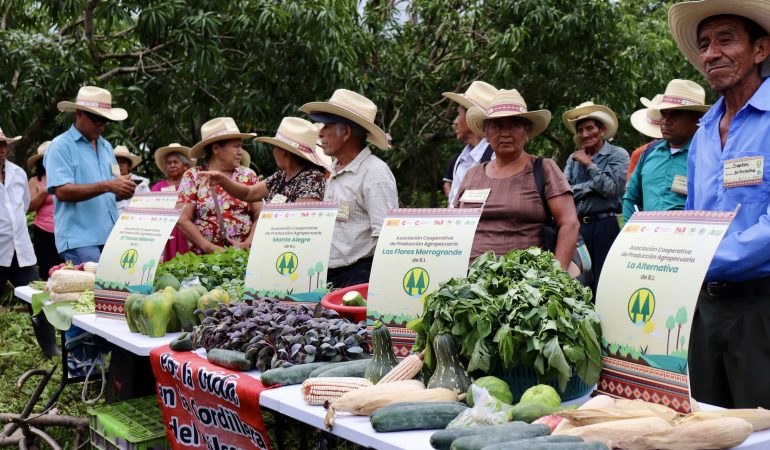 Paz con Dignidad, Ecos El Salvador y ACUA con el apoyo de la Cooperación Española impulsan el fortalecimiento de cooperativas rurales a través de proyecto de seguridad alimentaria y resiliencia climática